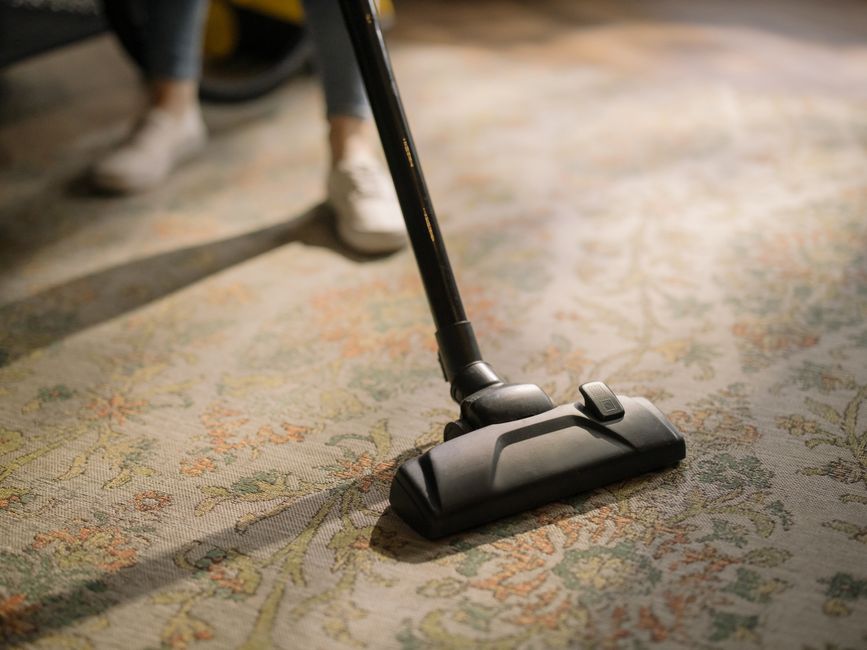 Vacuuming living room rug